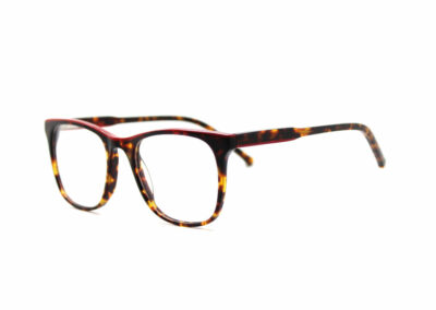 Bold tortoiseshell & red acetate glasses frames by Mr Foureyes (Rita style, angle shot)